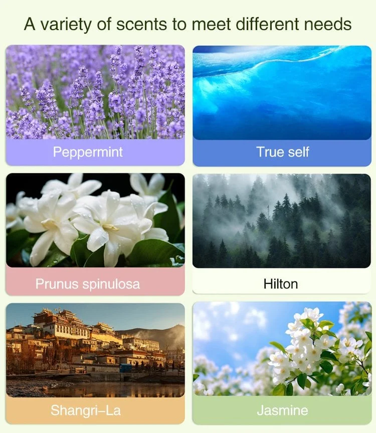 🔥Automatic Aromatherapy Diffuser - Image 14
