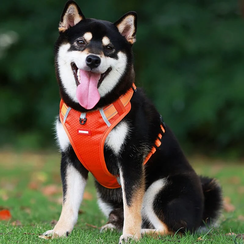 🎁Christmas 49% OFF⏳Reflective Dog Chest Strap - Image 12