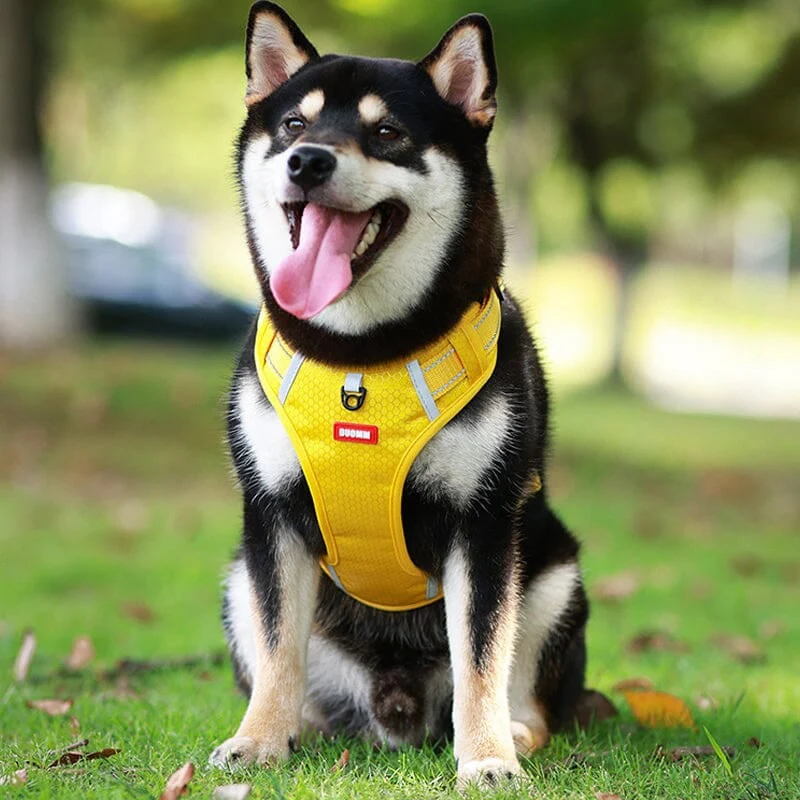 🎁Christmas 49% OFF⏳Reflective Dog Chest Strap - Image 7