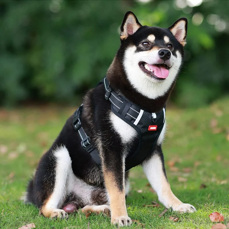 🎁Christmas 49% OFF⏳Reflective Dog Chest Strap - Image 8
