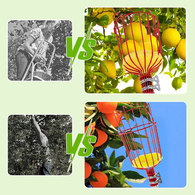 Foldable and Detachable Fruit Picker Portable Fruit Picking Tool - Image 2