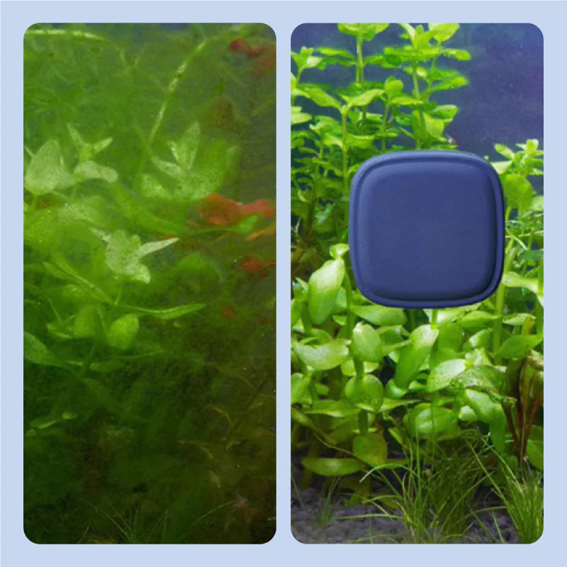 š„Multi-purpose fish tank strong magnetic cleaning brush! Can be used for windows, fish tank glass! - Image 6