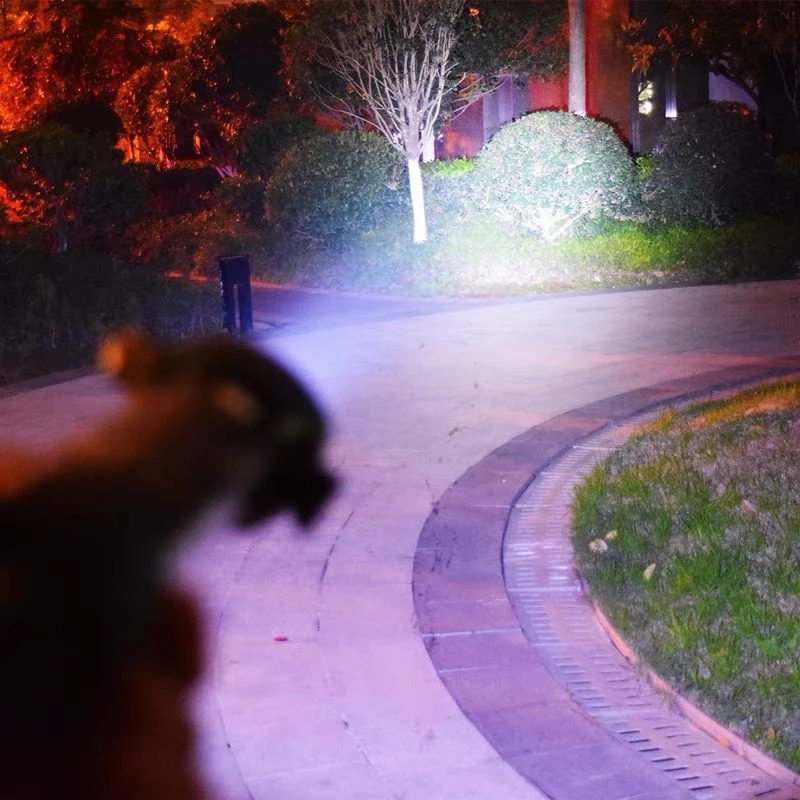 Multifunctional Outdoor LED Flashlight - Gift Choice - Image 4