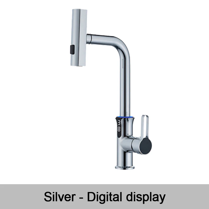 Multifunctional Pull Out Kitchen Sink Faucet with Digital Temperature Display - Image 14