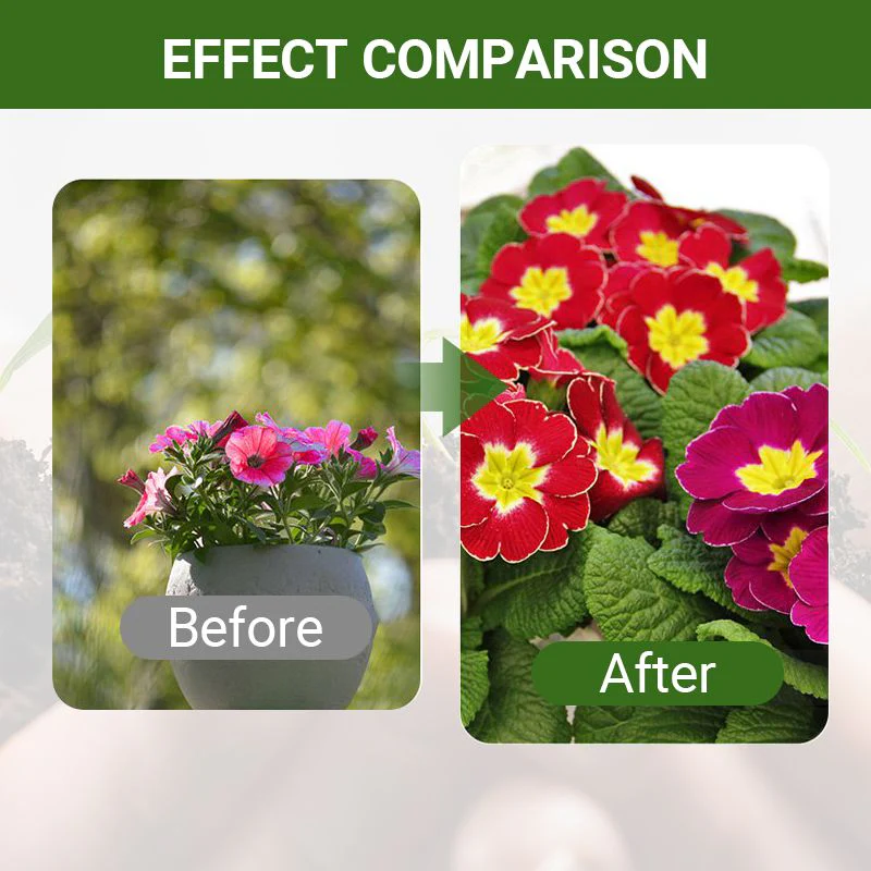 Special Bone Meal Organic Fertilizer - Promote The Growth of Flowers and Fruits - Image 6