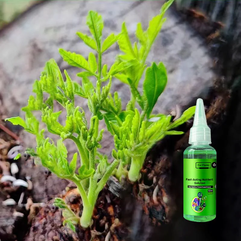 40% OFF🔥Fast-Acting Nutrient Solution for Plants - Image 8