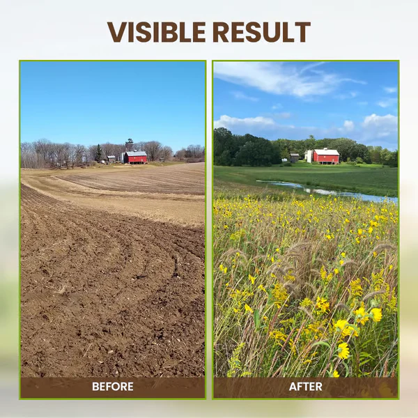 🔥Buy 2 Get 1 Free🔥Soil Improvement Loosening Agent - Image 10