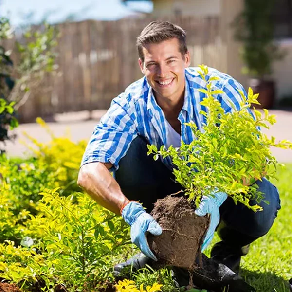 🔥Buy 2 Get 1 Free🔥Soil Improvement Loosening Agent - Image 2